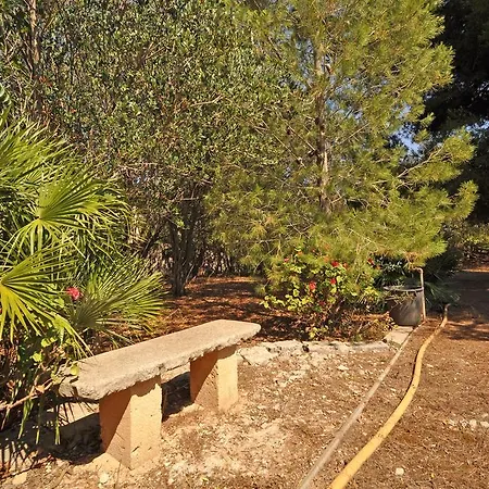 Mediterranea